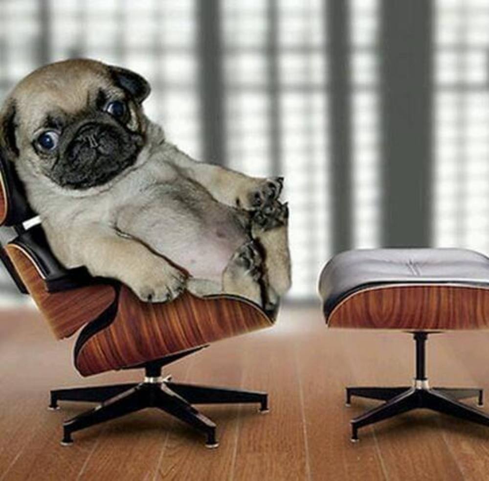 Meet your Posher, Aurelio